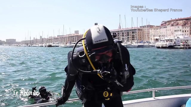 Marseille: l'ONG Sea Shepherd dénonce la pollution sous-marine au Vieux-Port