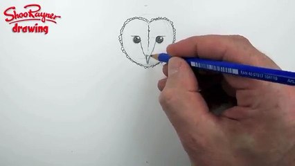 How to draw a Barn Owl - Spoken Tutorial