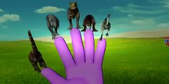 Finger Family Rhymes Dinosaurs Cartoons for Children | Finger Family Children Nursery Rhymes