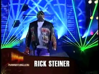 Team 3D vs Steiner Brothers/Road Warriors (Slammiversary 2007)