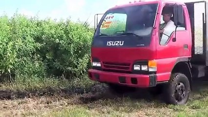 ISUZU NPR (4X4) FLORIDA 4WD  OFF ROAD TEST