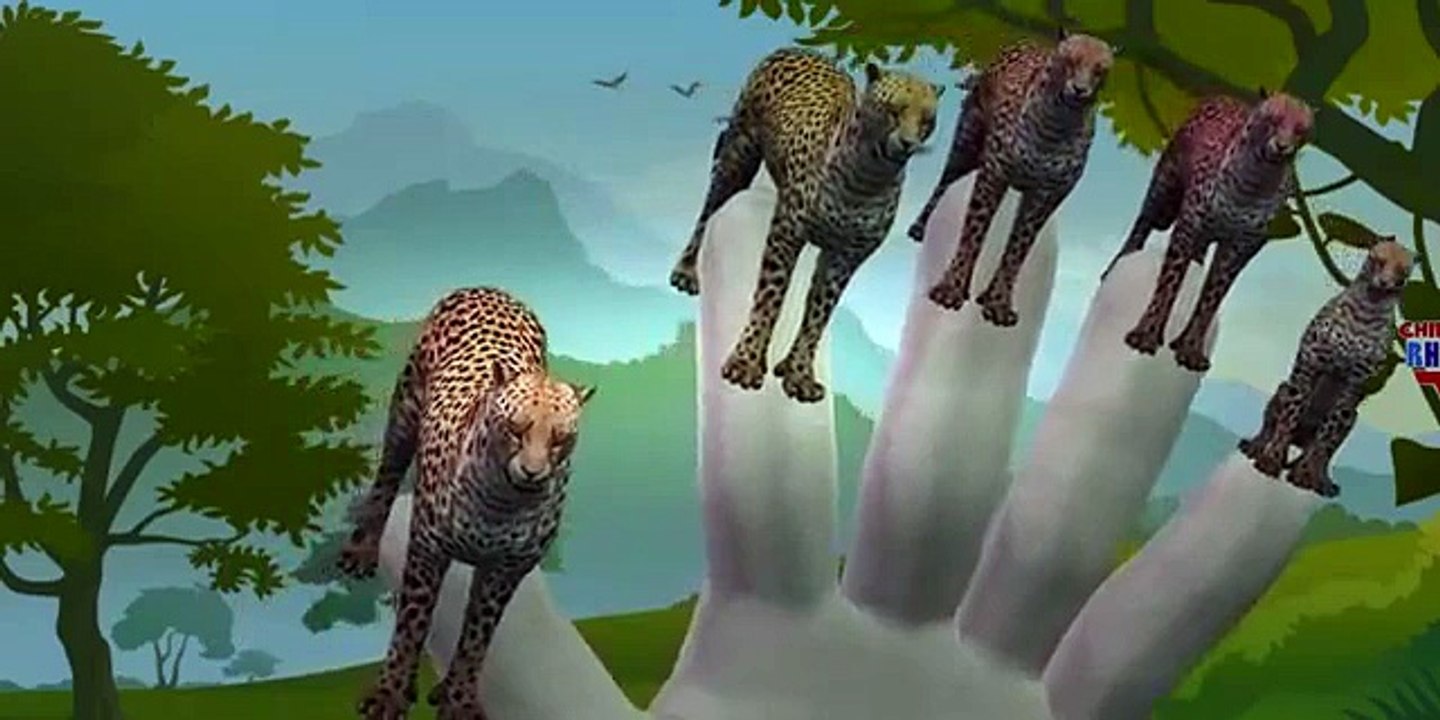 Finger Family Nursery Rhymes for Children Lion TIger Cartoons | Cheetah Finger Family Rhymes
