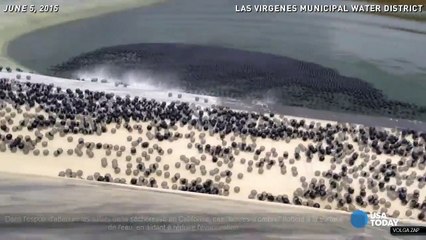 Los Angeles - 96 millions de balles en plastique noir dans le réservoir de la ville