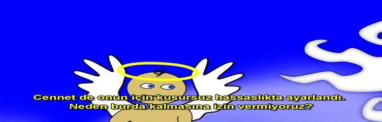 Hassas ayarlanmış evren