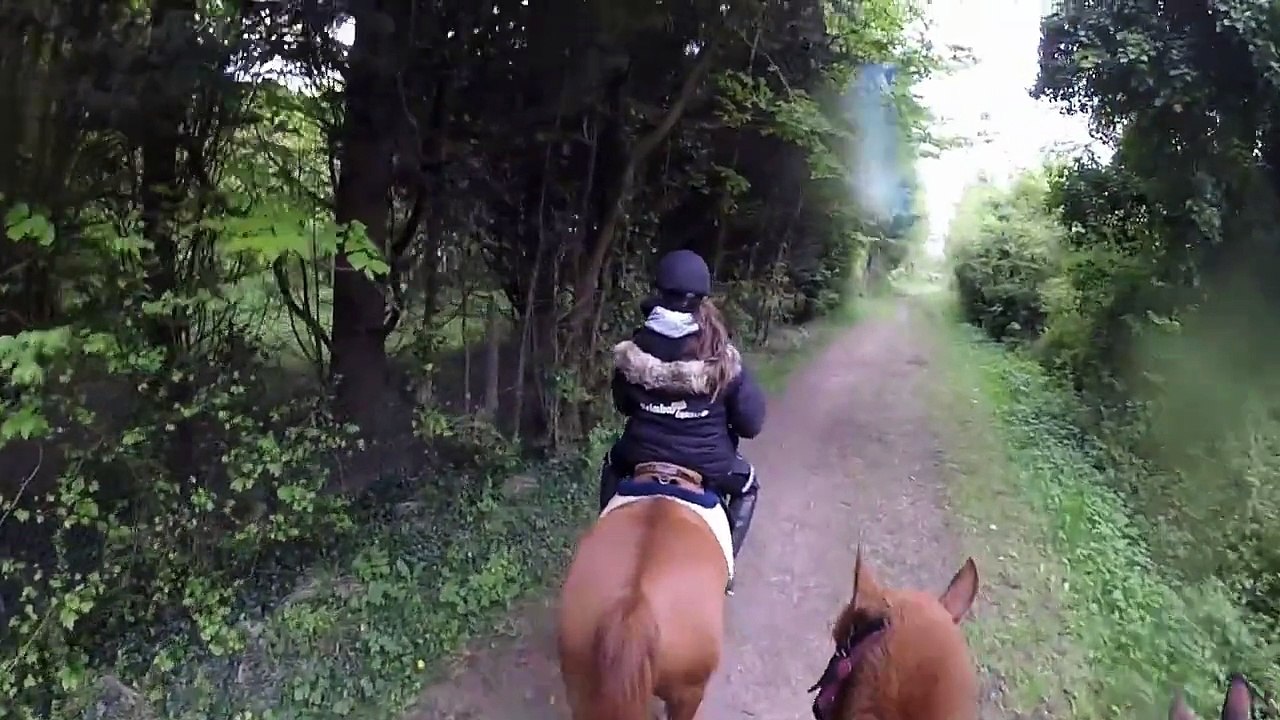 Deauville 2015 - Gopro