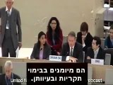 Commander British forces praises Israeli army (IDF) in the UN - SEE MY OTHER VIDEOS