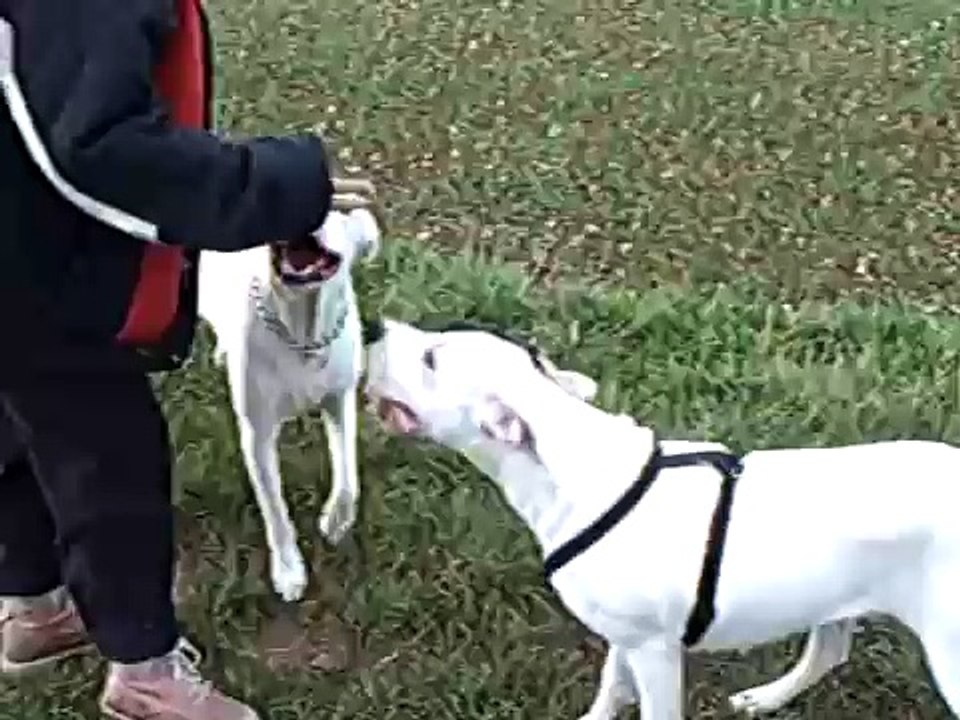 beauty et akila 1ère ballade