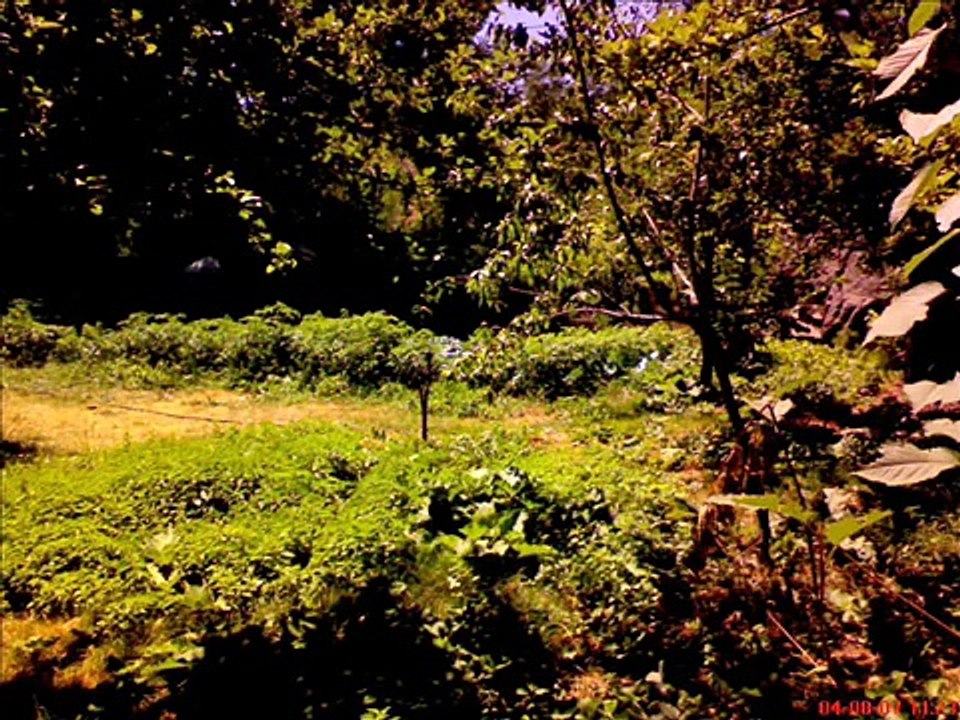 olukbaşı köyü/abdullah papur