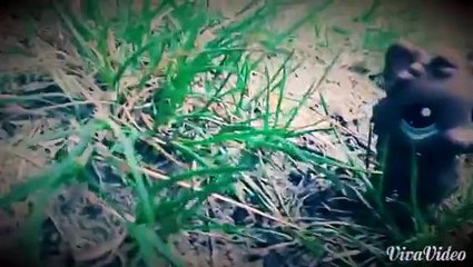 LPS: ▲Radioactive▲ (Miusic Video)