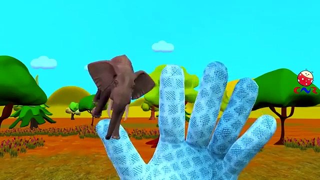 Finger Family Rhymes for Children Elephant Giraffe Horse Cartoons | Finger Family Nursery Rhymes