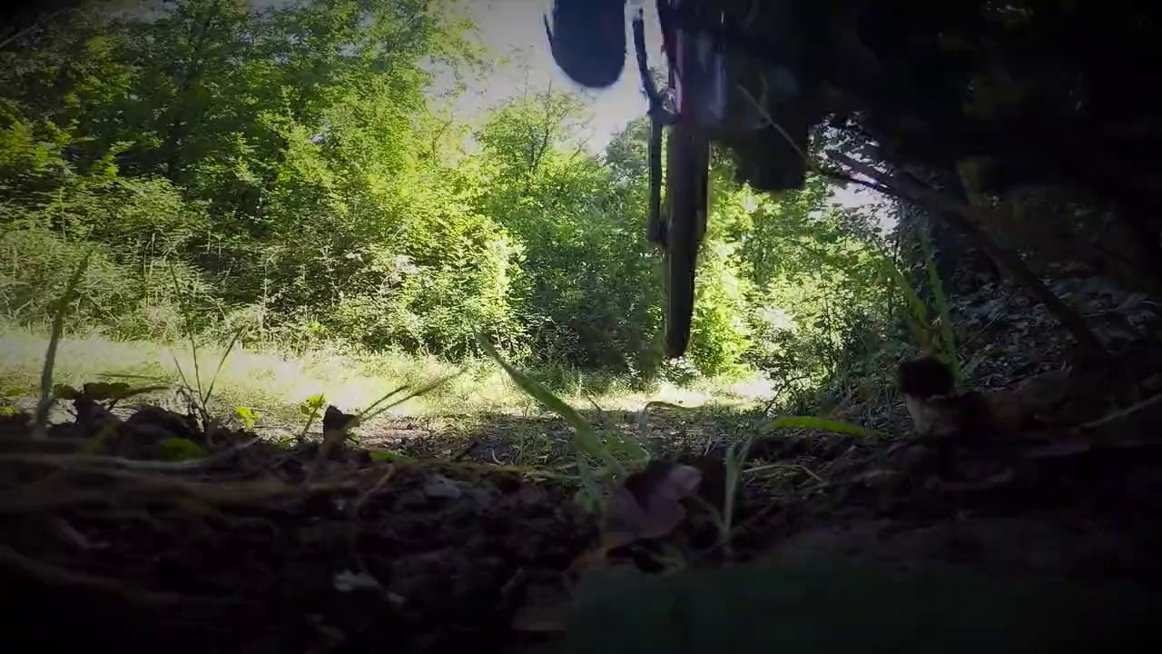 Sortie XC VTT Forêt de Fenioux (17) - Specialized Pitch 650b