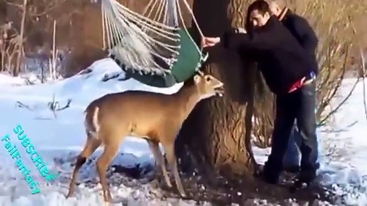 Animals Attack To Human Extreme XXX Animals Attack Funny Attack