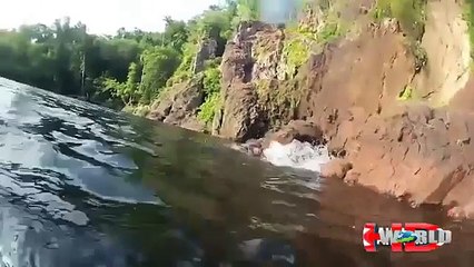 When Animal Attacks Human-Amazing Videos 2015