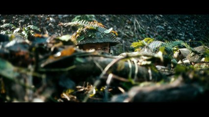 Dad's Army (2016) Teaser Trailer (Universal Pictures)