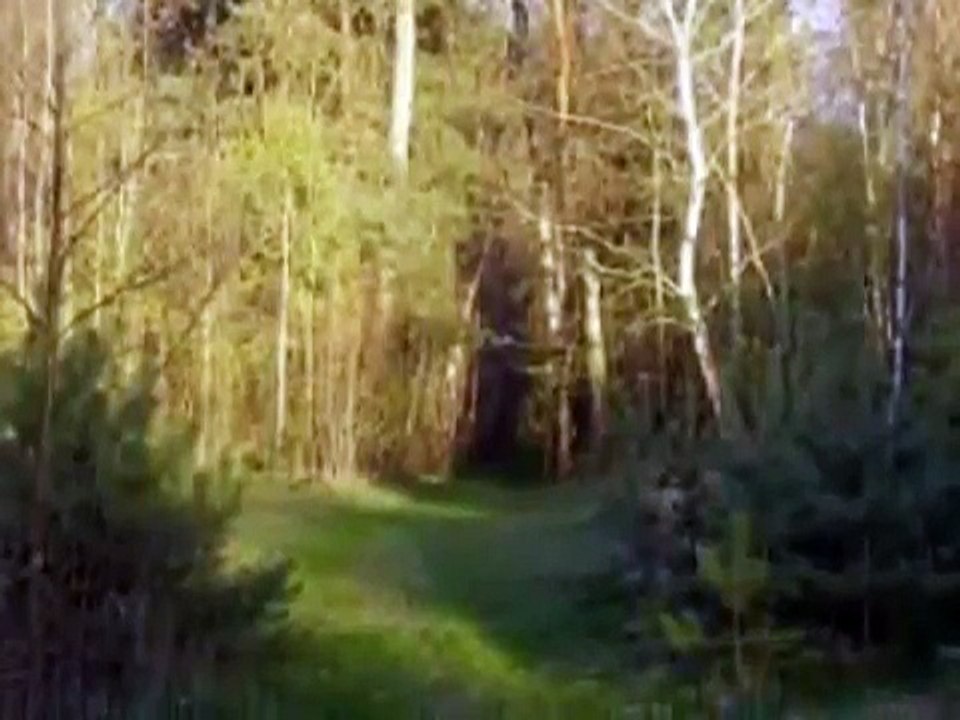 Emilcin  UFO: a1 Byłem na statku Obcych- POLAK