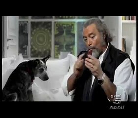 Spot - Alice Unico - Quando vedi TIM allora fai la pipì