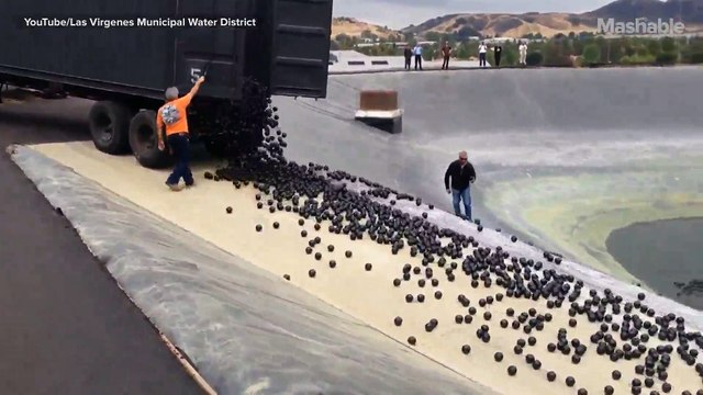 LA throws 96 million 'shade balls' at its water shortage — and it's mesmerizing