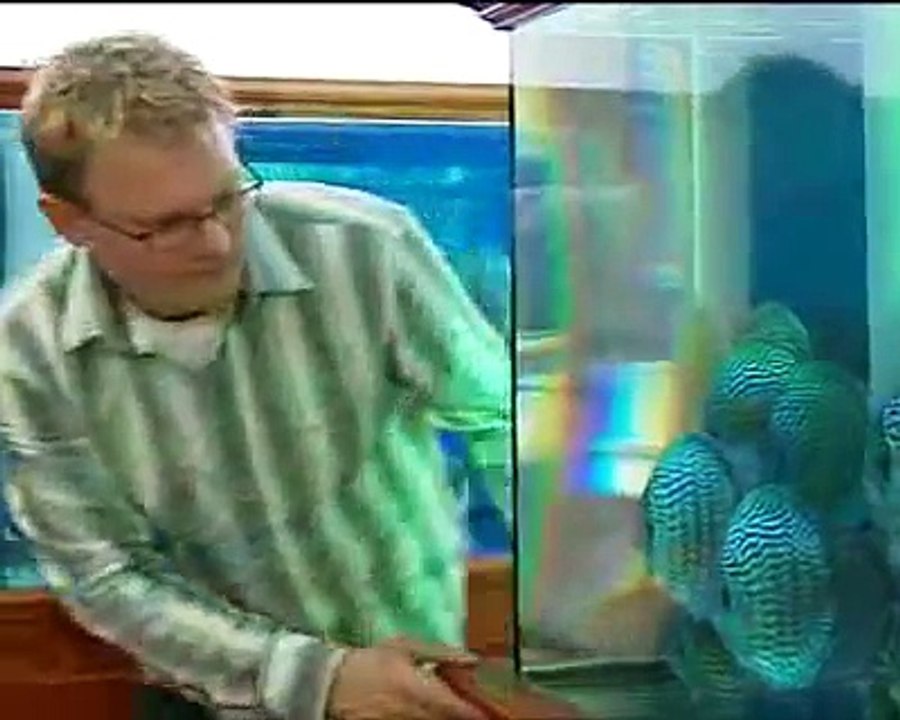 WDR Bericht über die Diskuszuch  Alexander Piwowarski