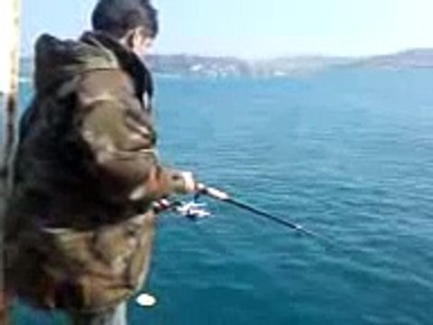 Balık avı,istavrit akını,lüfer,kofana,fish,deniz.acemi balık