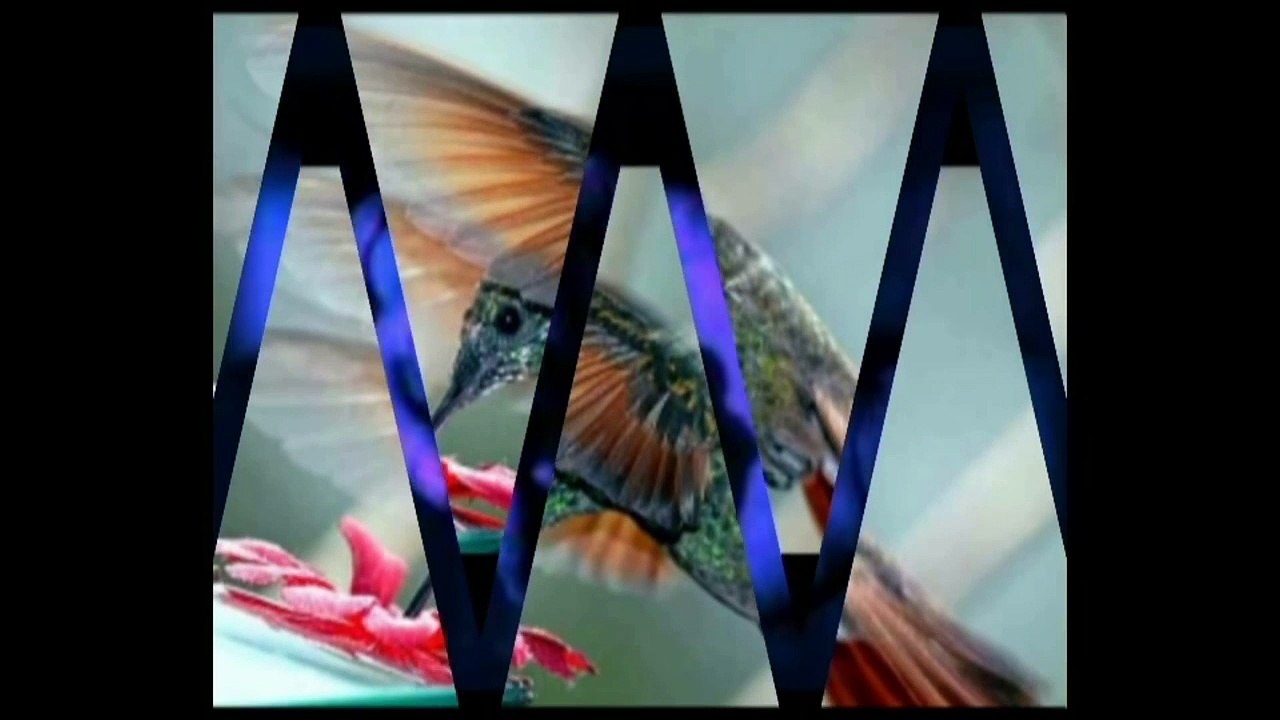 Candileja - Musica Instrumental solo para romanticos