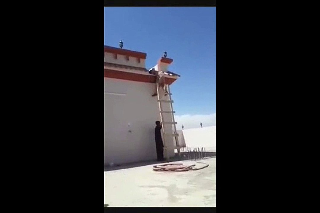 funniest video