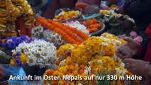Nepal Natur Rundreisen; Wanderungen, Trekking & Tiere beobachten: Rote / Kleine Pandas, Tiger ....