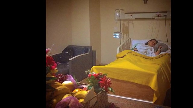 Mariel Rodriguez pregnant again with Twins