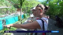 Au parc animalier des Pyrénées, les animaux côtoient au plus près les visiteurs