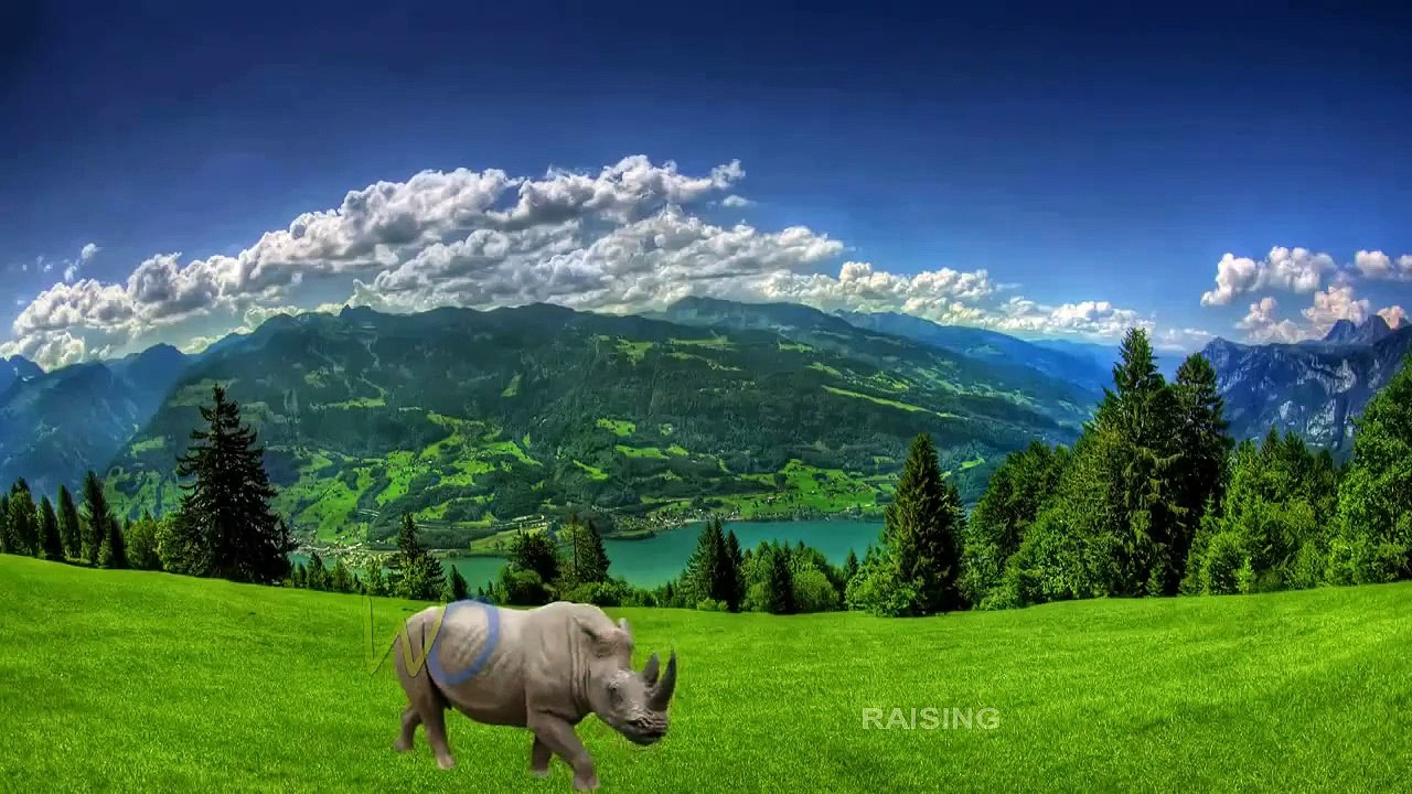 Animals Cartoons Finger Family Songs | Children Nursery Rhymes | Popular  Englilsh Phonic Songs