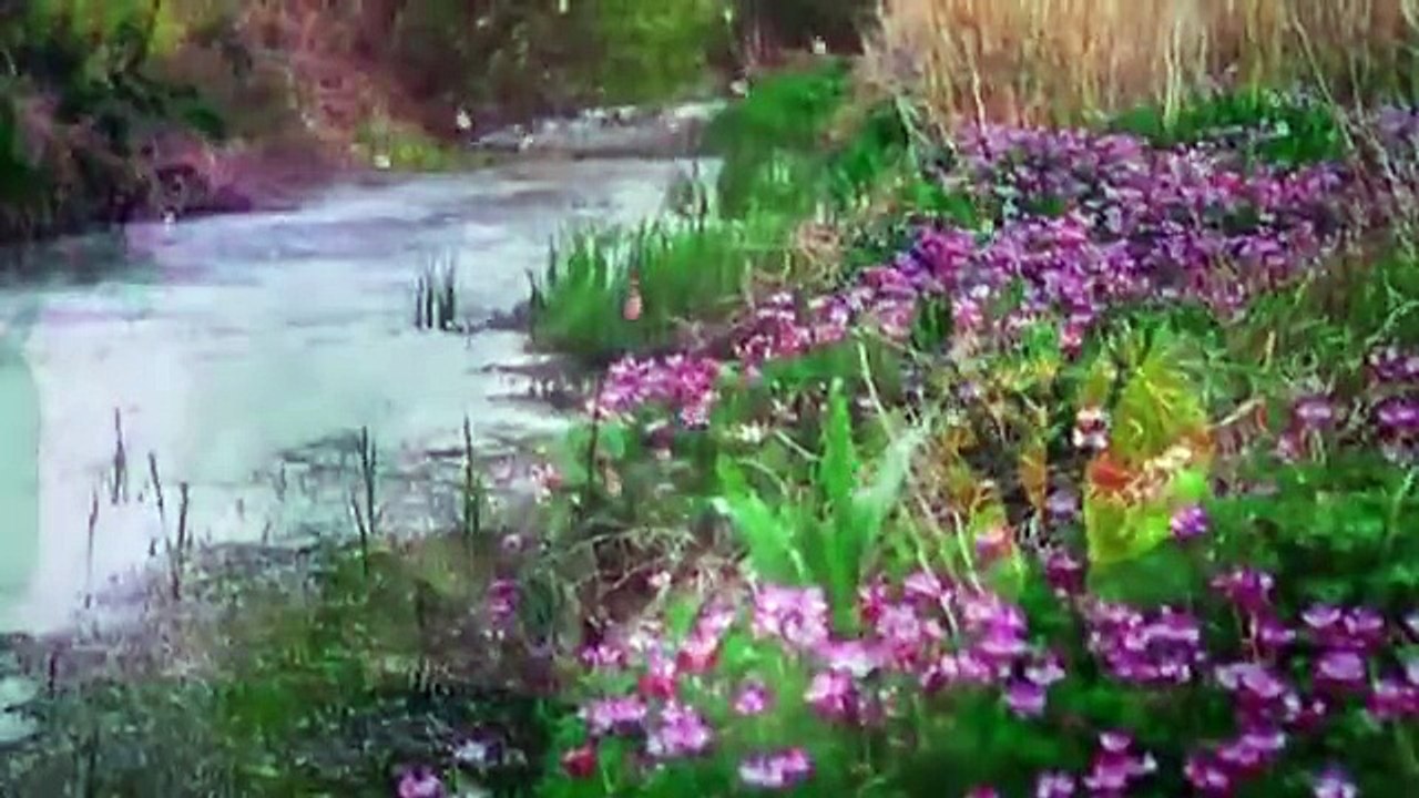 Elio Roca -- Te necesito tanto amor (1,973)