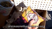 Chimpsgiving 2012 - Save the Chimps