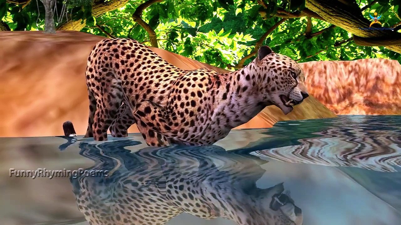3d Animal Finger family 3d rhyme | Nursery Children Finger Family song