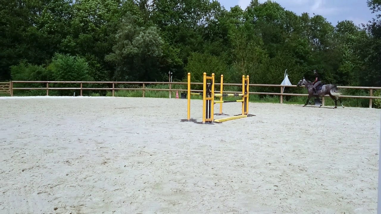 MOV_0520