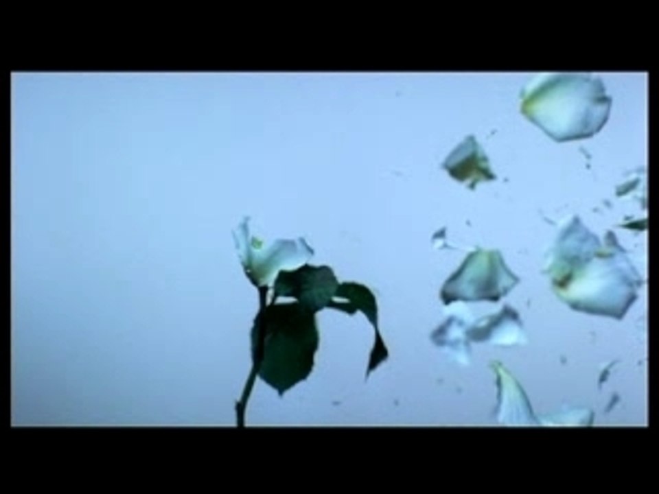 Massive Attack - Promo for 100th Window