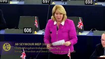 UKIP: Jill Seymour MEP EU Rules On Remotely Piloted Aircraft Systems