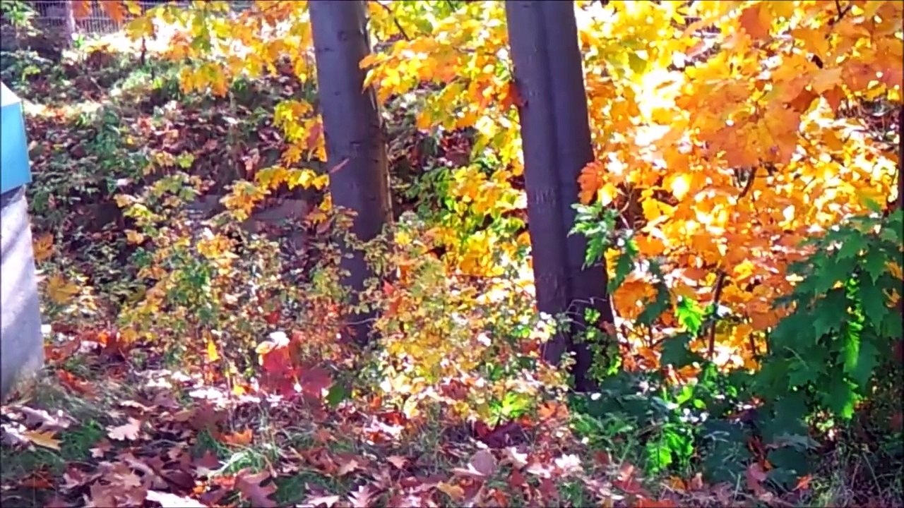 Ausfahrt Pinneberg Süd Oktober 2015 /Full Film/Ganzer Film/Complete Movie