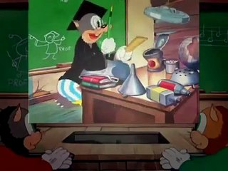 Looney Tunes Katnip Kollege HD Episode 77