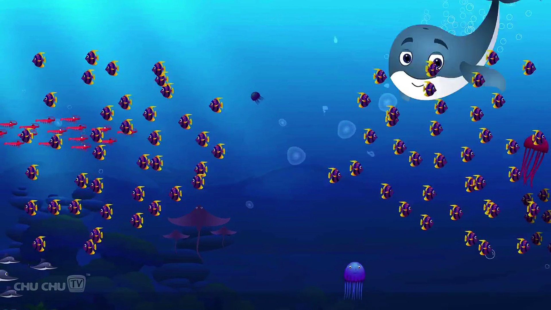 Blue Whale Nursery Rhyme | ChuChuTV Sea World | Animal Songs & Nursery  Rhymes For Children - Dailymotion Video