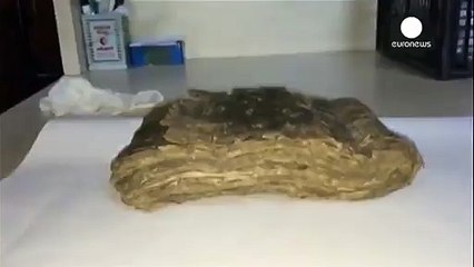 Tokatta bin yıllık İncil ele geçirildi