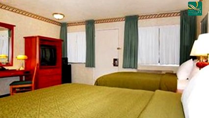Quality Inn & Suites Silicon Valley