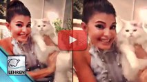 Prem Ratan Dhan Payo Dubsmash By Jacqueline Fernandez