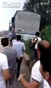 LiveLeak Man Throwing Bricks Shot and Killed by Police