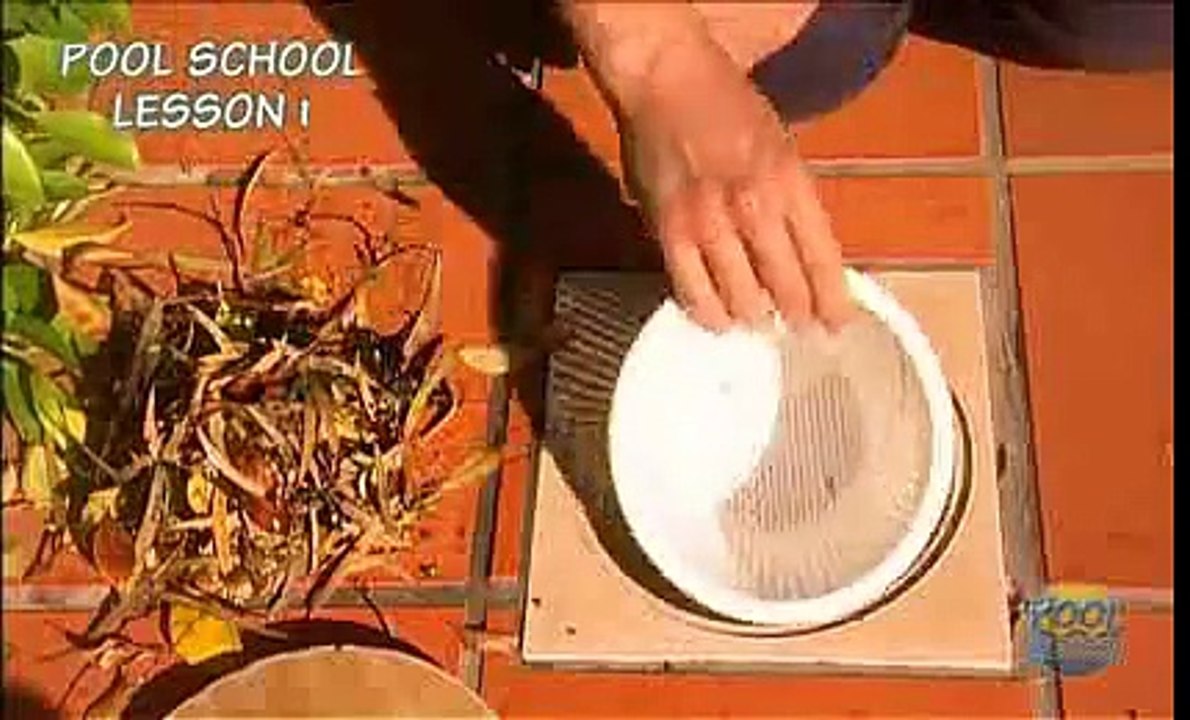 Zodiac Peak Season Pool Maintenance - Swimming Pool Maintena