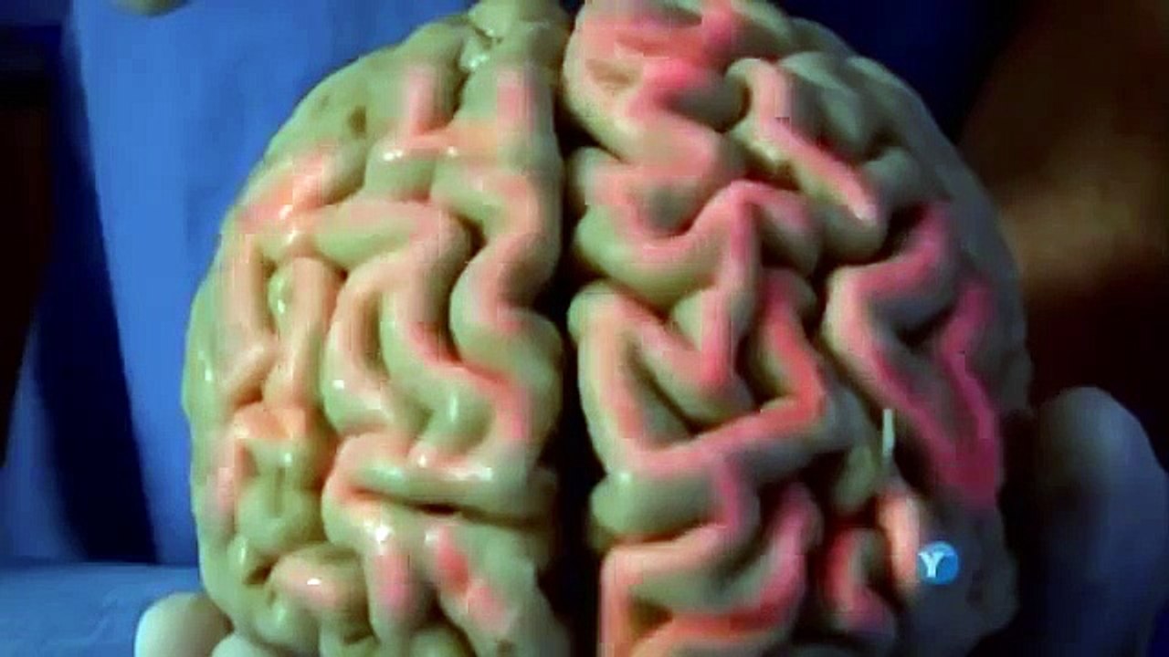 BBC DOCUMENTARY 2015 Human Brain How Smart Can We Get Documentary