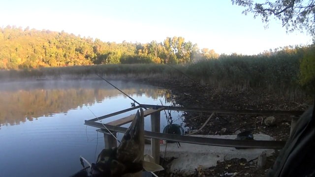 Pêche du brochet au vif