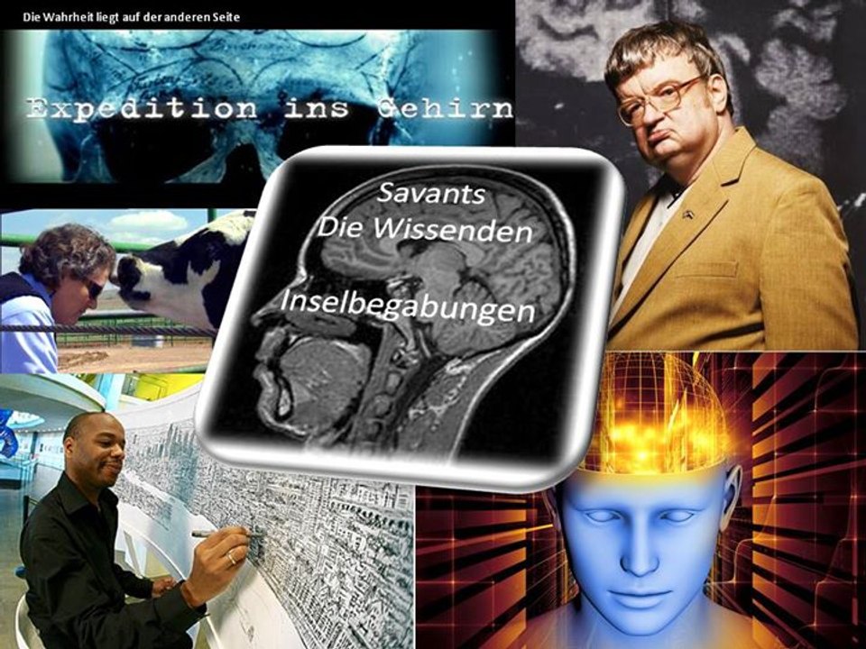 Expedition ins Gehirn - Teil 02 Der Einstein Effekt