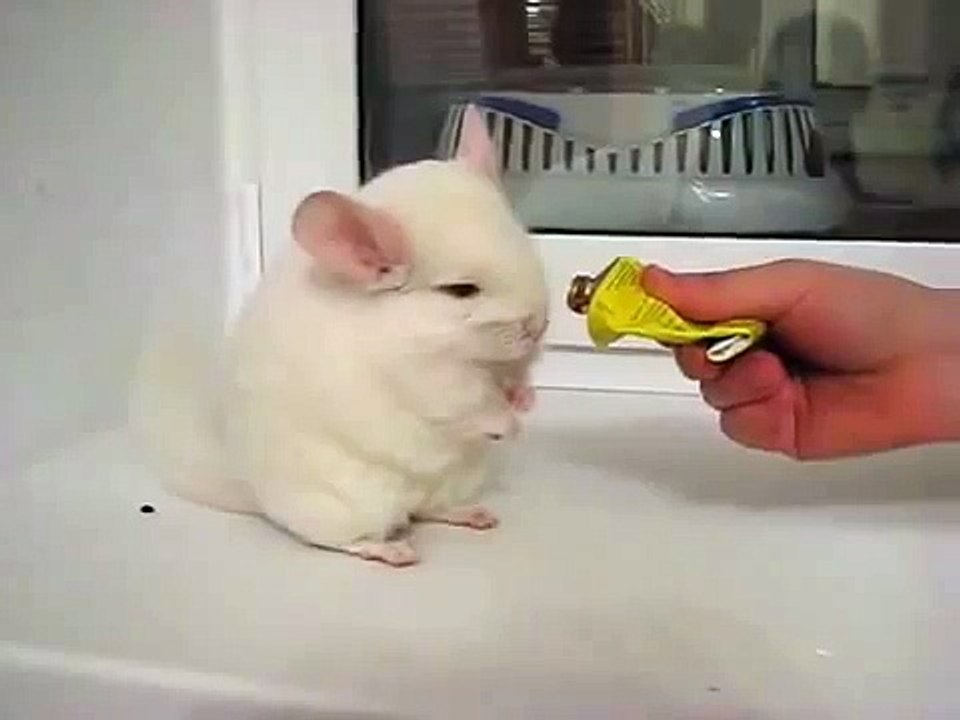 ой^^он так смешно ножками топает