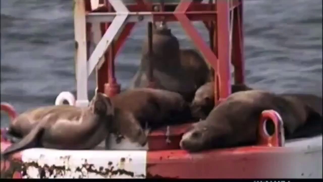 ULTIMATE!!! Best witnesses report silent triangle UFO encounter Submerged Objects USOs