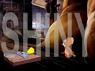 Tom And Jerry 1942 Fine Feathered Friend Segment 1 .flv