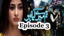 Tum Mere Kya Ho Episode 3 Full in HD PTV Home (Mikaal Zulfiqar & Sajjal Ali)